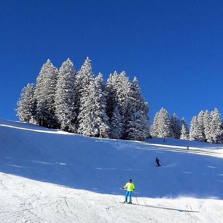 Laubrinus Leilighet Adelboden Eksteriør bilde