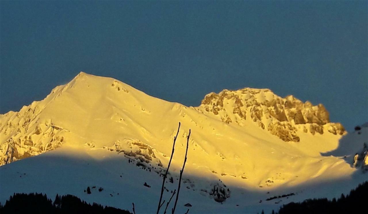 Laubrinus Leilighet Adelboden Eksteriør bilde