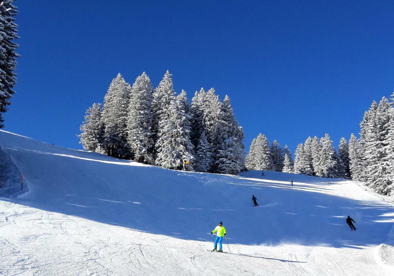 Laubrinus Leilighet Adelboden Eksteriør bilde