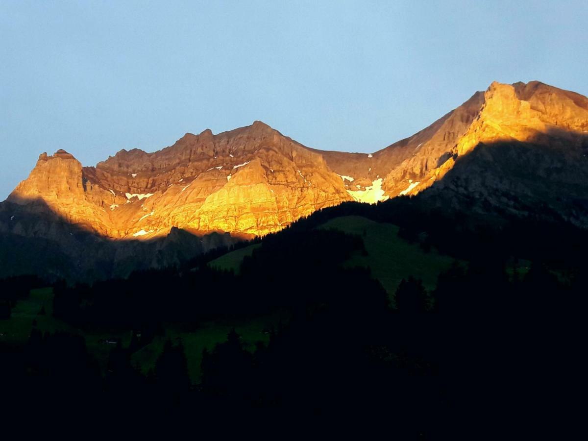 Laubrinus Leilighet Adelboden Eksteriør bilde